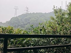 -巴倒烫陆派火锅山庄(南山总店)