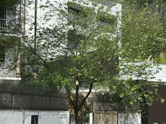 -原乡芦茨咖啡