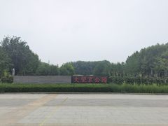 -大望京公园