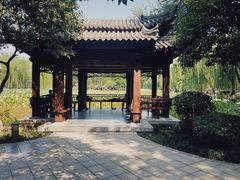 -莲湖公园