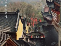 -鲜丰水果(杭州庆春银泰店)