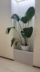 -头道汤头疗养生馆