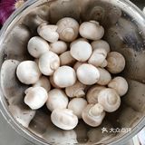 做披萨