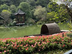 -云溪植物园