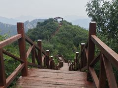 -大岭沟猕猴桃谷风景区