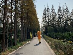 -前小桔亲子创意农场·草莓采摘·露营烧烤