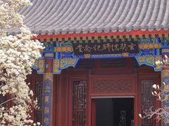 -天津大悲禅院