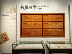 -中国沉香文化博物馆