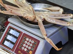 -震海贝烤贝·民俗特色店(延吉总店)