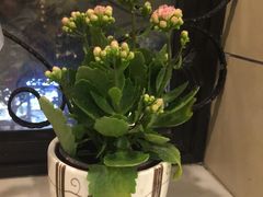 -红房子西菜馆(淮海中路店)