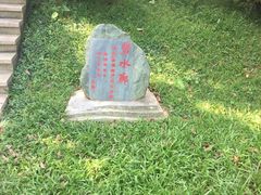 -大湾区中央湿地公园