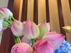 -上海浦东嘉里大酒店
