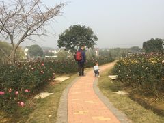 -龙寺生态园