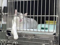 -申普宠物医院·眼科·心内科·影像科(普陀分院)