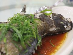 -湛江渔港·大排档(乐园路总店)