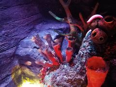 -沈阳海洋探索中心