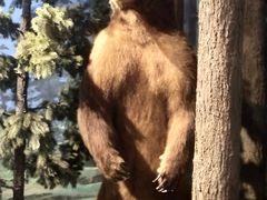 -陕西自然博物馆