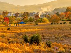 -塔川景区