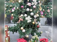 -双季花艺园艺市场(浦东店)