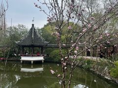 -上海醉白池公园