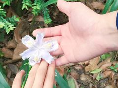 -张醪糟