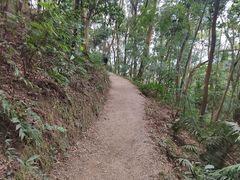 -广州市帽峰山景区