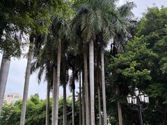 -厦门悦华酒店