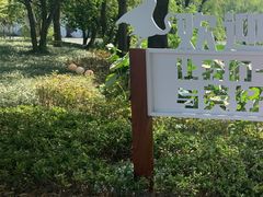 -长兴太湖图影湿地文化园