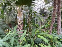 -北京植物园-展览温室