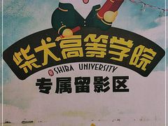 -柴犬高等学院·狗咖·柴犬售卖·宠物训练