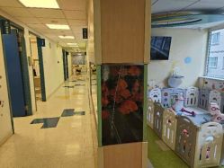 -杭州贝瑞斯美华妇儿医院·早孕·产检·儿科