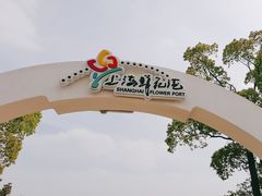 -上海鲜花港