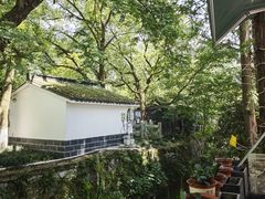 -欣怡茶庄·始于1999(梅家坞店)