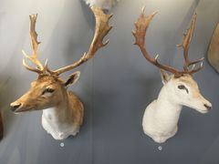 -陕西自然博物馆