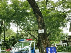 -荔湾湖公园