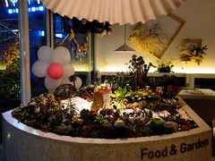 -春树下·树屋花房西餐厅(罍街AS1980店)