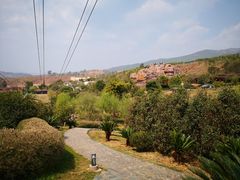 -世界恐龙谷景区