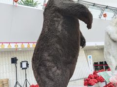 -天津自然博物馆