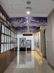 -广州美莱医疗美容医院