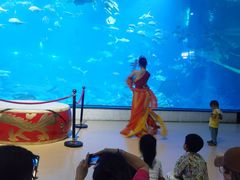 -福州罗源湾海洋世界旅游区