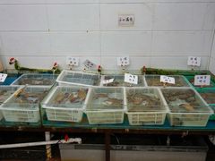 -丽华家常菜(北马路店)