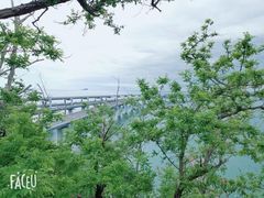 -星海湾跨海大桥