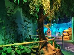 -沈阳海洋探索中心