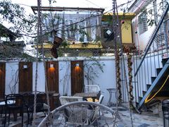 -喵屿·大理花园猫咖