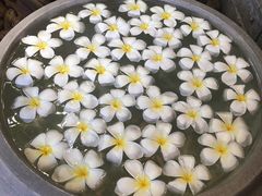 -TrueLove @ Neverland (Husky Cafe)