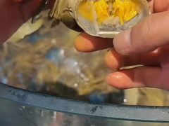 -争先鲜·蒸汽海鲜自助·鲜切牛肉