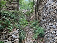 -北京上方山国家森林公园