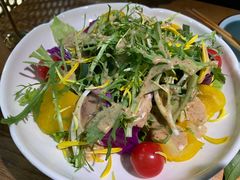 蔬菜沙拉-九锅一堂酸菜鱼(石家庄先天下店)