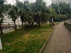 -温江公园