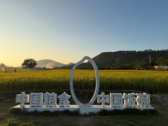 -艾米稻香小镇